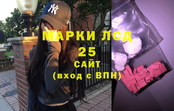 СК Алексин