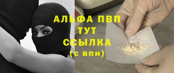 СК Алексин