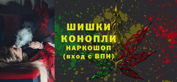 СК Алексин