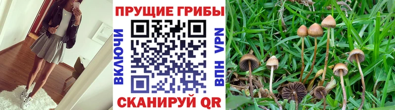 Галлюциногенные грибы мухоморы  Татарск 